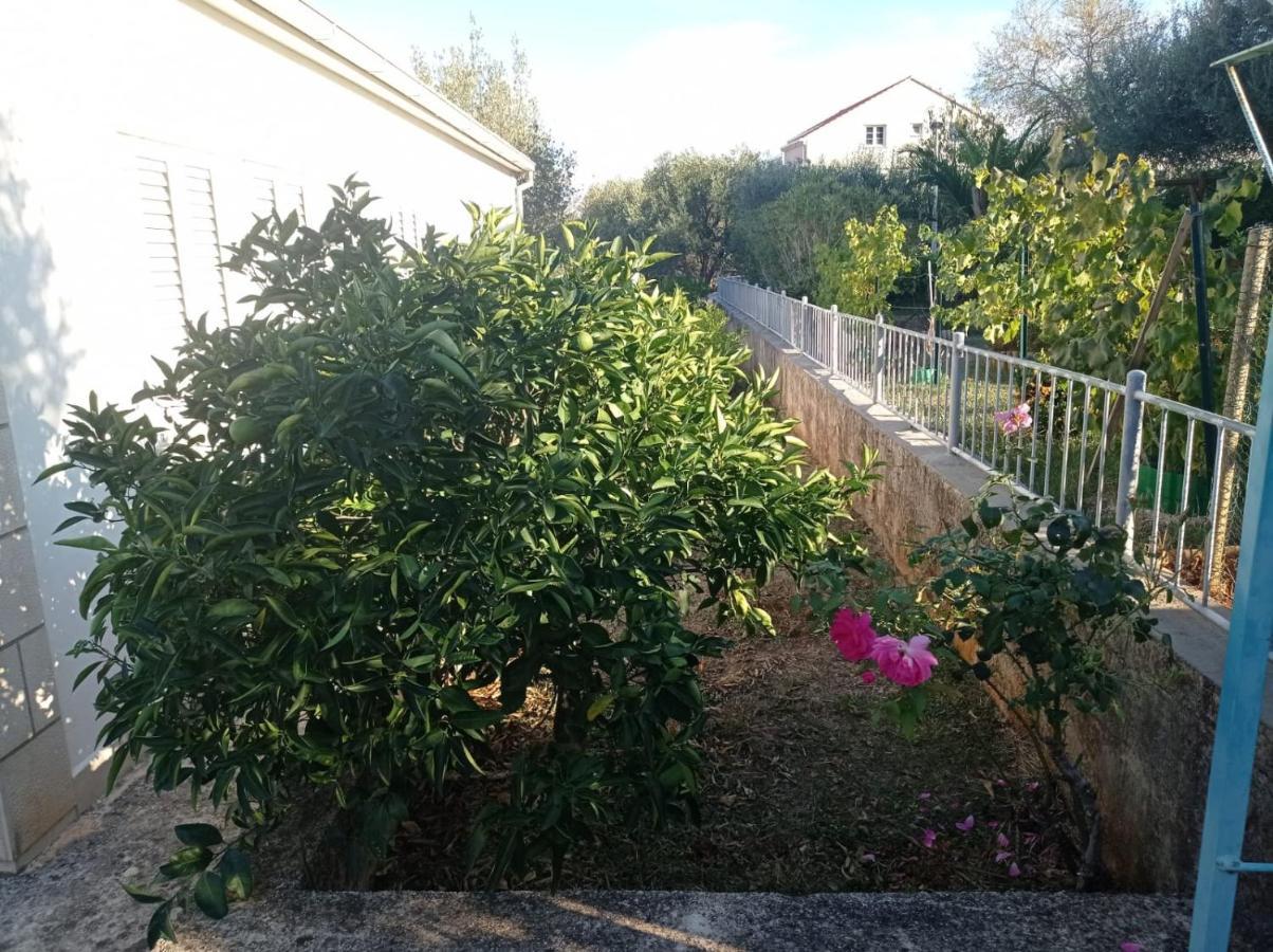 My Mediterranean Villa With Huge Garden And Own Parking Lumbarda Exterior photo